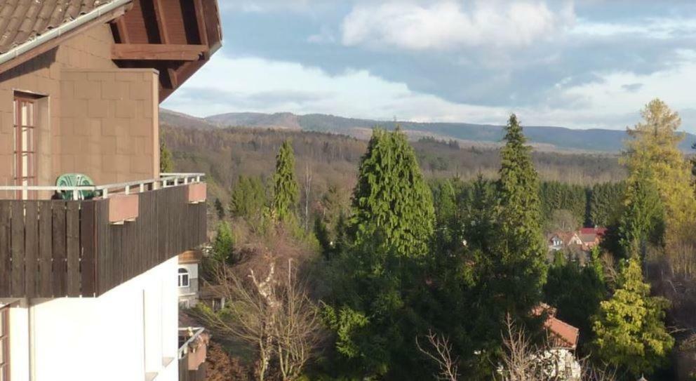 Appartamento Jagdschloesschen-Harz Bad Sachsa Esterno foto